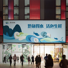 貴州黔魚海報設(shè)計